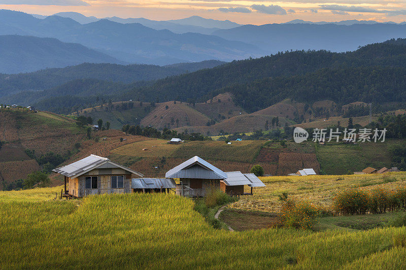 美丽的日出在绿色梯田在Pa Pong Pieng，泰国清迈